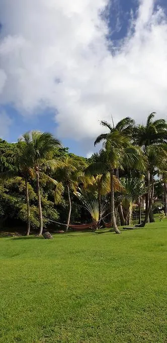 Studio Tropical Avec Vue Mer Dans Une Residence Hoteliere Sainte-Luce Appartement