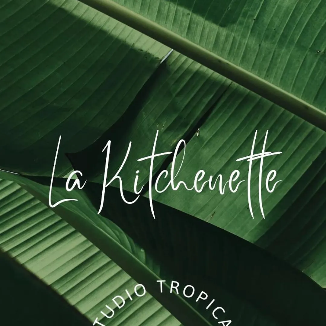 Studio Tropical Avec Vue Mer Dans Une Residence Hoteliere Sainte-Luce Appartement