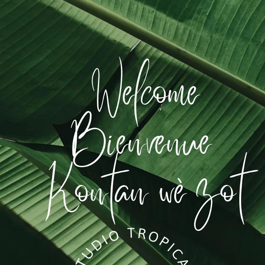 Appartement Studio Tropical Avec Vue Mer Dans Une Residence Hoteliere Sainte-Luce Martinique